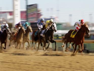 http://betting.betfair.com/horse-racing/US%20marathon.jpg